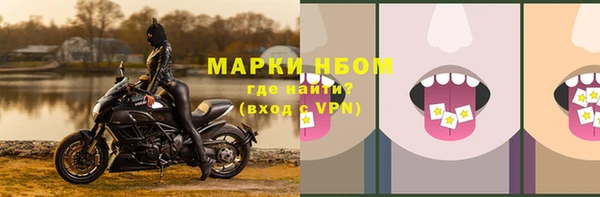 ALPHA PVP Медвежьегорск