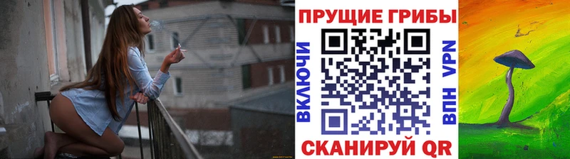 продажа наркотиков  Осташков  Галлюциногенные грибы ЛСД 
